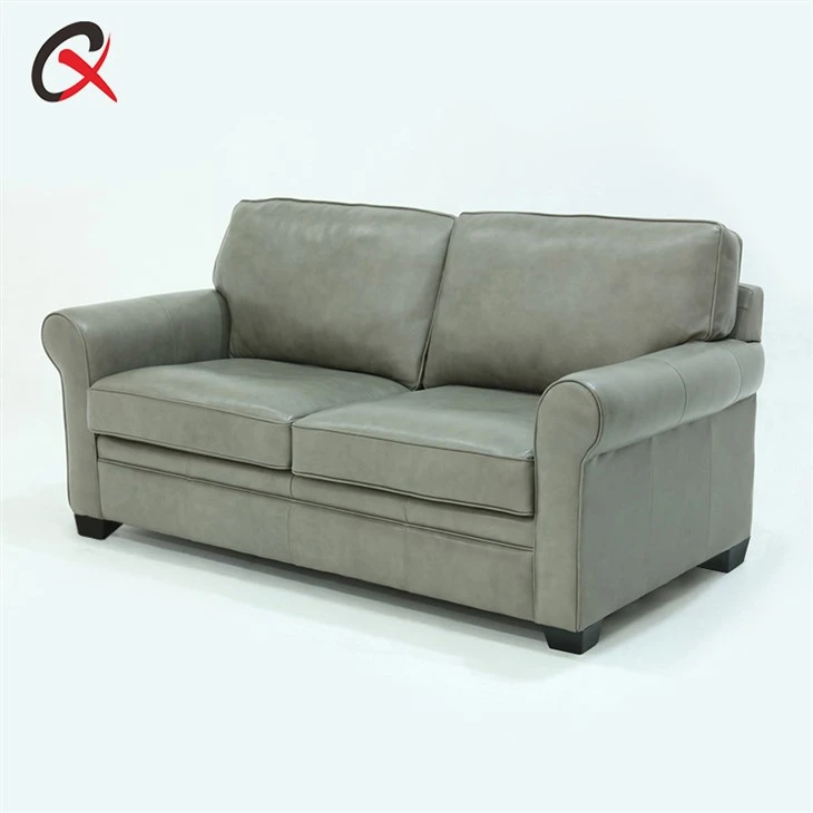 Small Sleeper Sofa